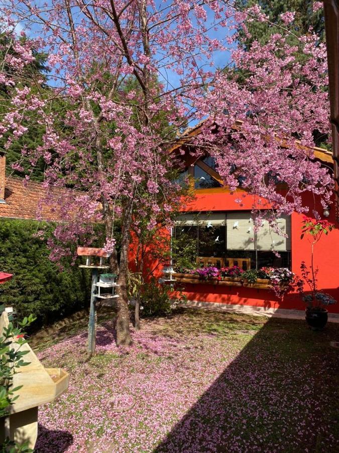 מונטה ורדה Aconchegante Casa Em Monte Verde מראה חיצוני תמונה